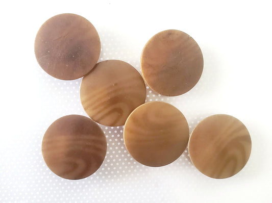 Shank Sewing Buttons, 20mm, 2cm, Brown, Plastic, Faux Wood, QTY 6