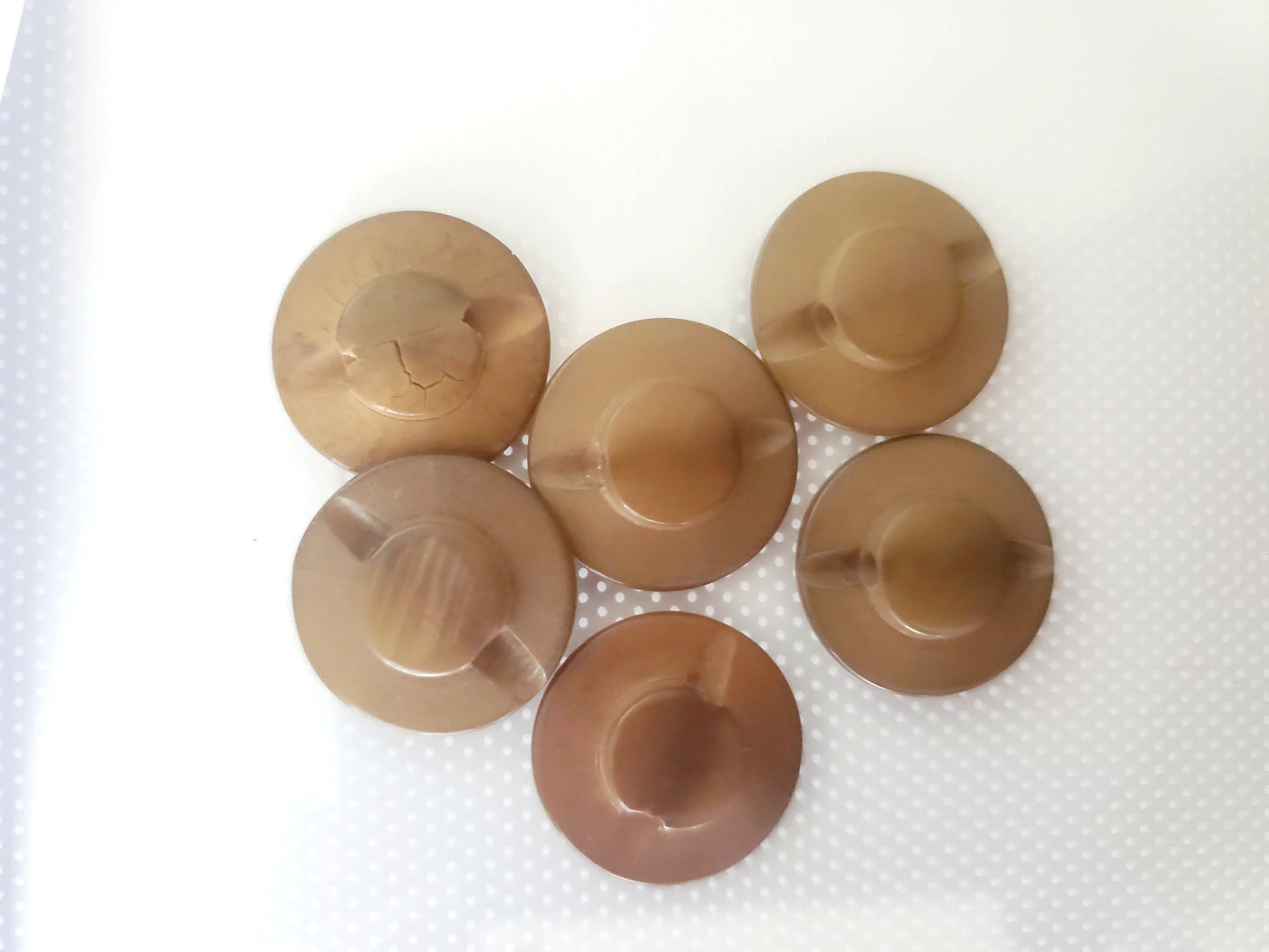 Shank Sewing Buttons, 20mm, 2cm, Brown, Plastic, Faux Wood, QTY 6